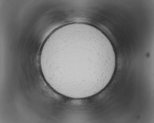 X0000114581182200911301328