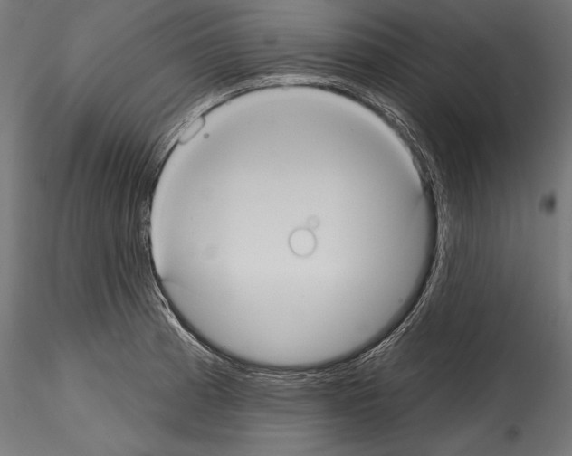 X0000114581185200911301328