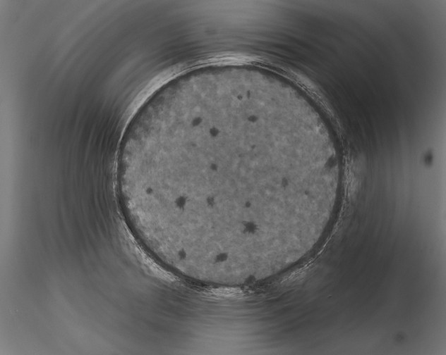 X0000114581186200911301328