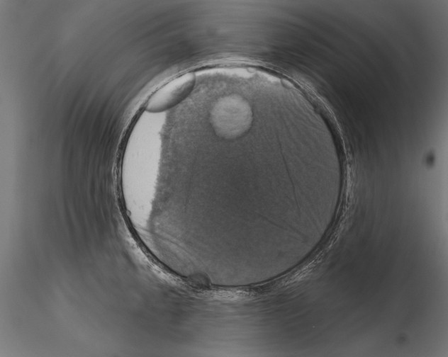 X0000114581189200911301328