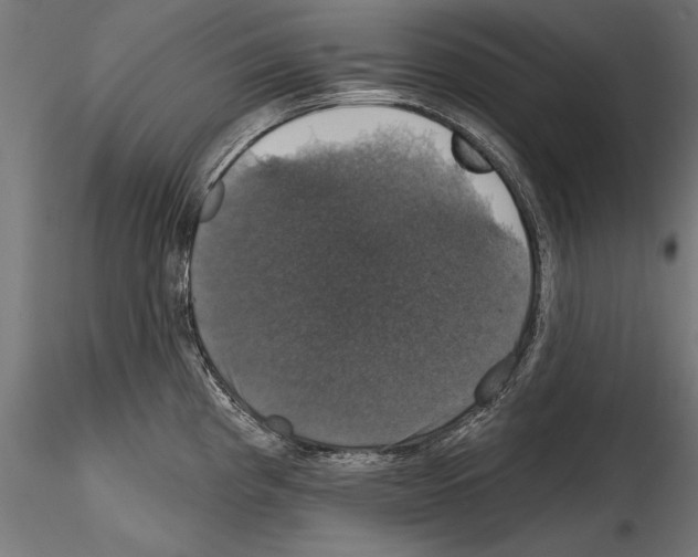 X0000114581193200911301327