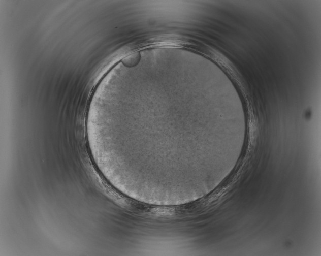 X0000114581194200911301327