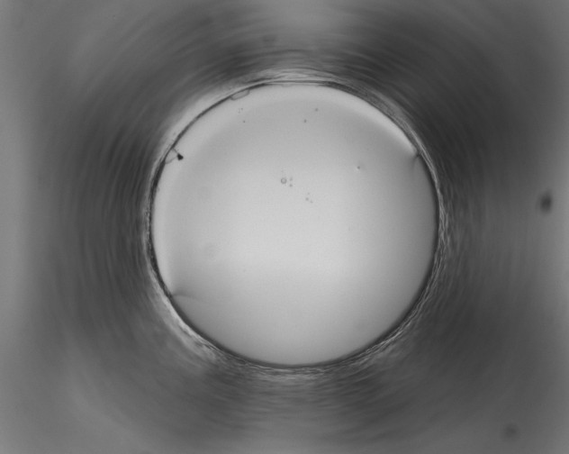 X0000114581195200911301327