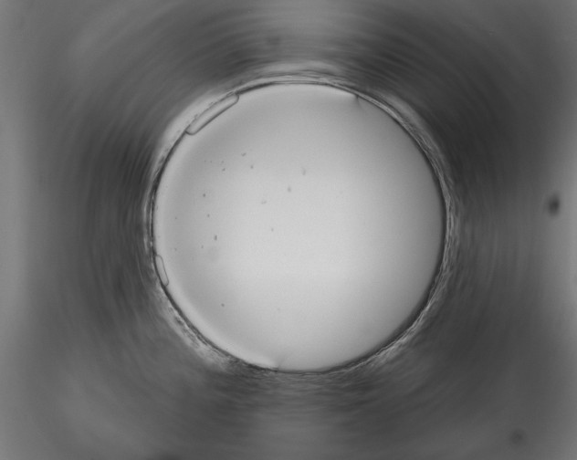 X0000114581196200911301327