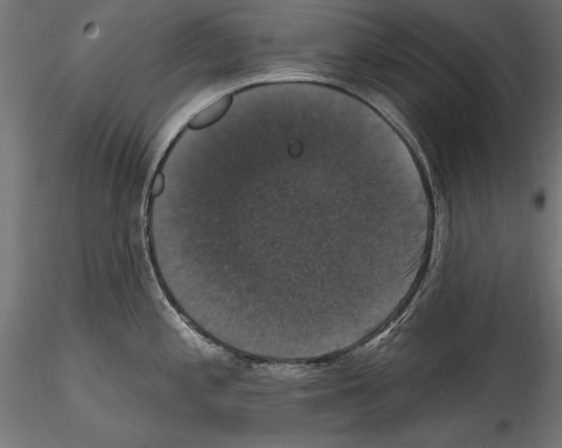 X0000114581197200911301327