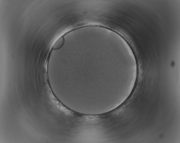 X0000114581198200911301327