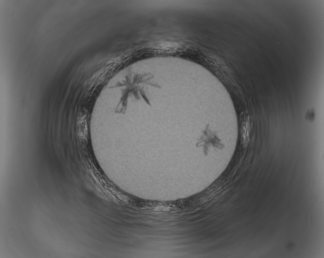 X0000114581204200911301327