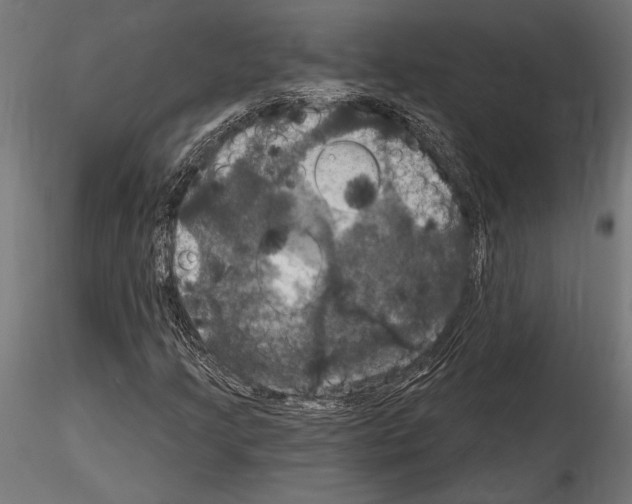 X0000114581205200911301327