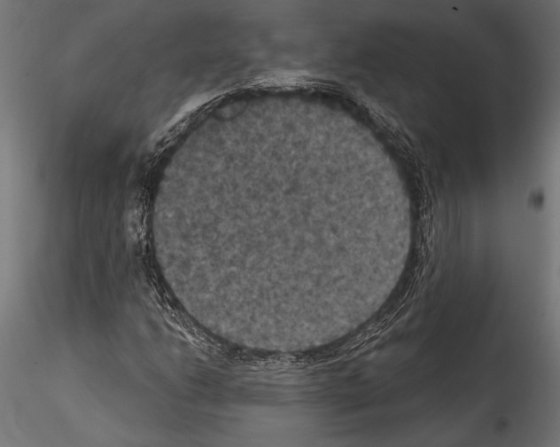 X0000114581206200911301327