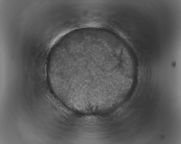 X0000114581214200911301327