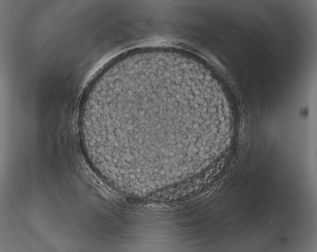 X0000114581216200911301327