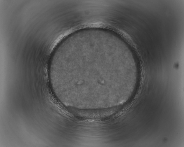 X0000114581218200911301327