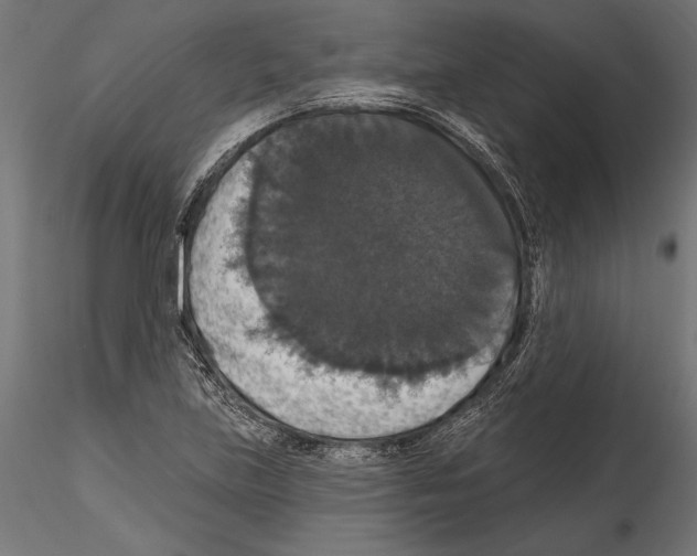 X0000114581219200911301327