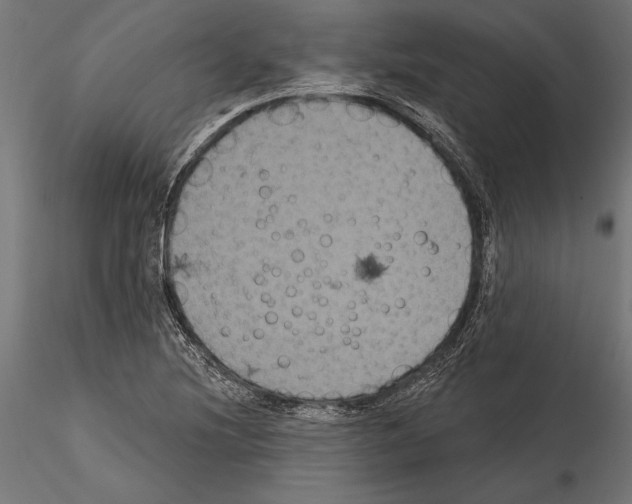 X0000114581220200911301327