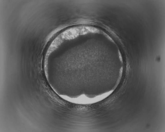 X0000114581222200911301327