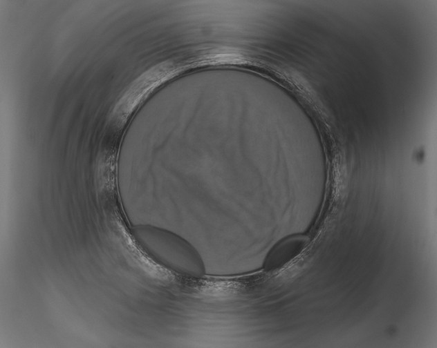 X0000114581225200911301327