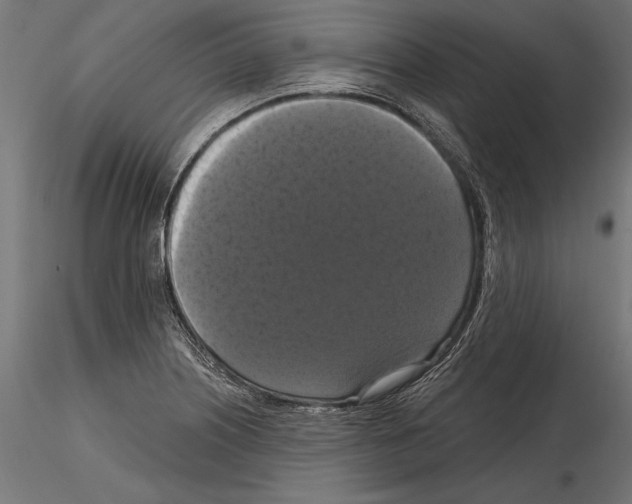 X0000114581226200911301327