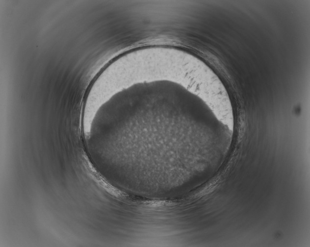 X0000114581228200911301327