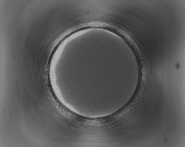 X0000114581229200911301327