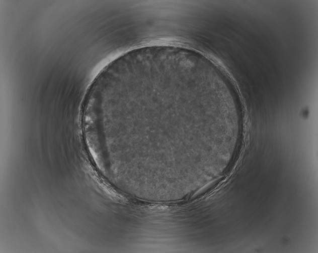 X0000114581230200911301327