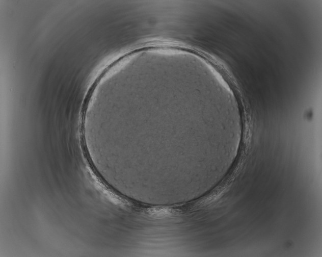 X0000114581231200911301327