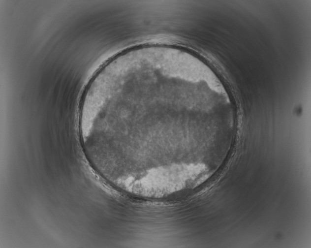 X0000114581232200911301327