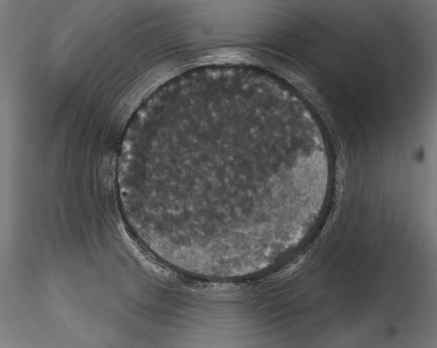 X0000114581233200911301327