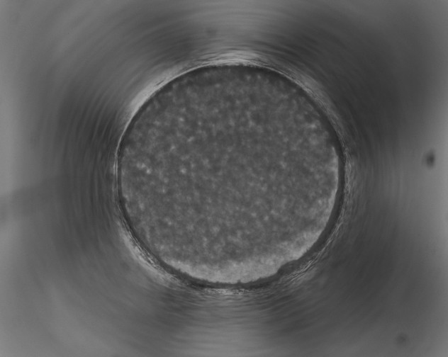 X0000114581234200911301327