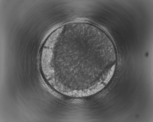 X0000114581235200911301327