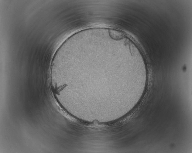 X0000114581236200911301327