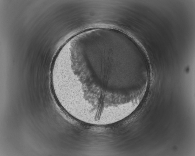 X0000114581237200911301327