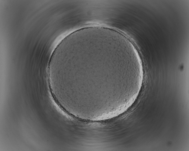 X0000114581239200911301327