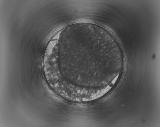 X0000114581241200911301327