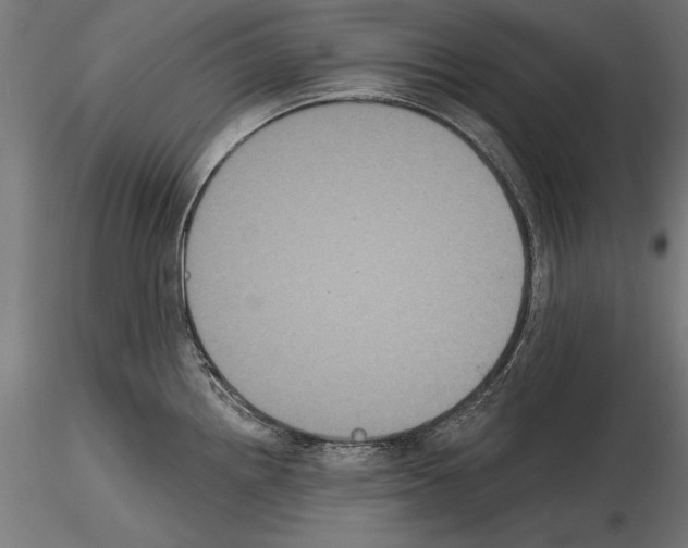 X0000114581242200911301327