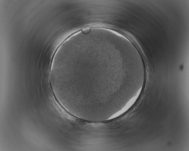 X0000114581244200911301327