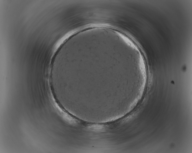 X0000114581245200911301327