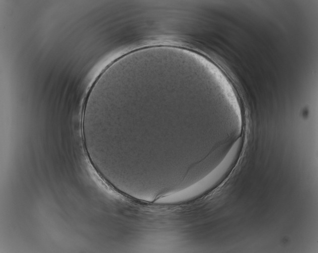 X0000114581246200911301327