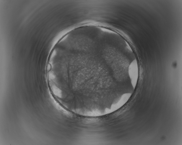 X0000114581247200911301327