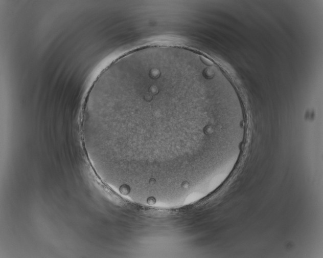 X0000114581248200911301327