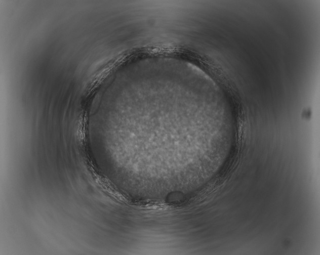 X0000114581250200911301327