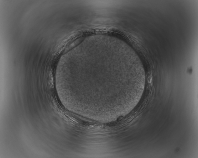 X0000114581252200911301327