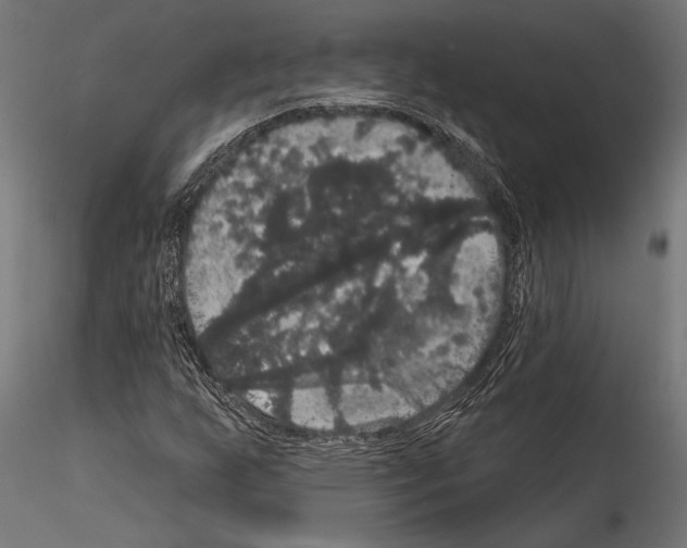 X0000114581255200911301327