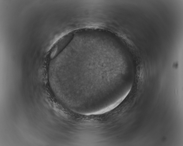 X0000114581256200911301327