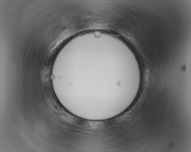 X0000114581258200911301327