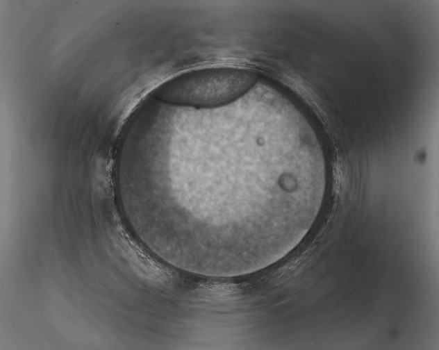 X0000114581260200911301327