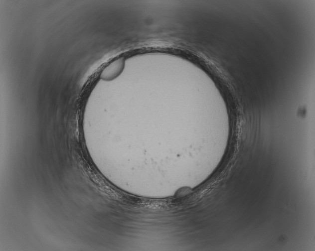 X0000114581262200911301326