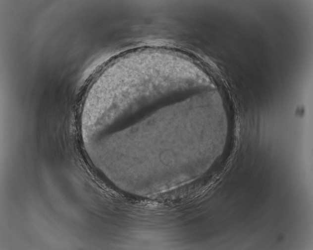 X0000114581263200911301326