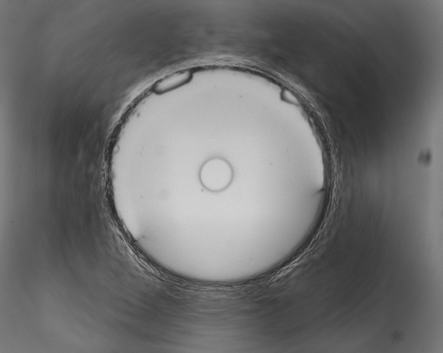 X0000114581264200911301326