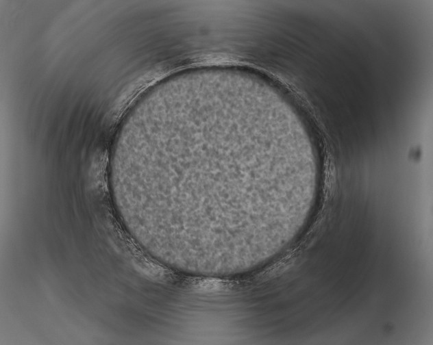 X0000114581265200911301326