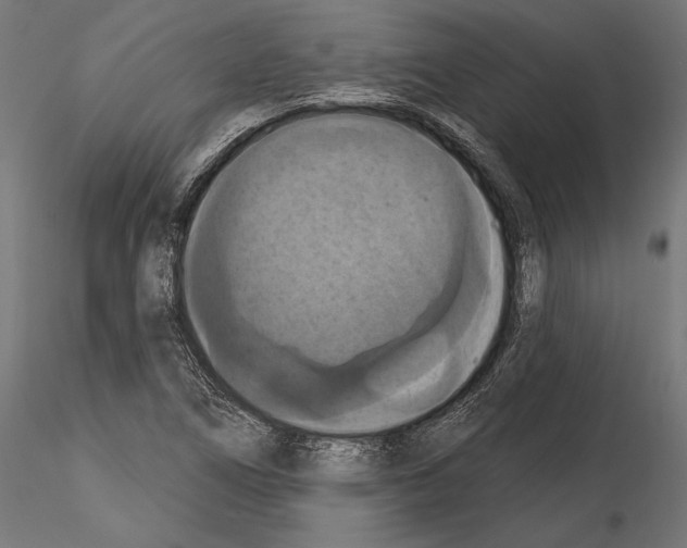 X0000114581266200911301326